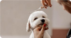 Screenshot_20251022_203350_Chrome