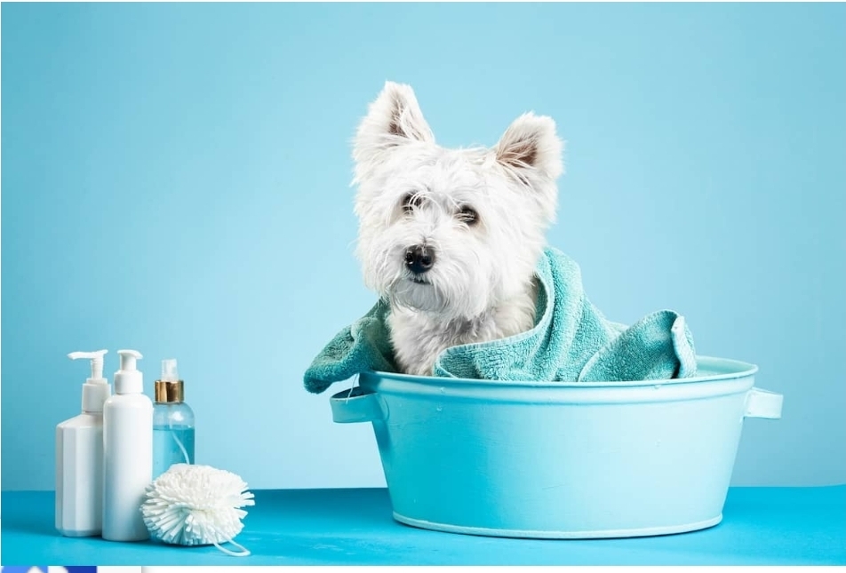 Screenshot_20251022_203723_Chrome