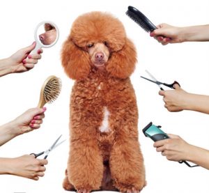 Screenshot_20251023_074652_Google