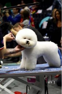 Screenshot_20251028_083317_Google