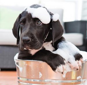 Screenshot_20251028_083821_Google